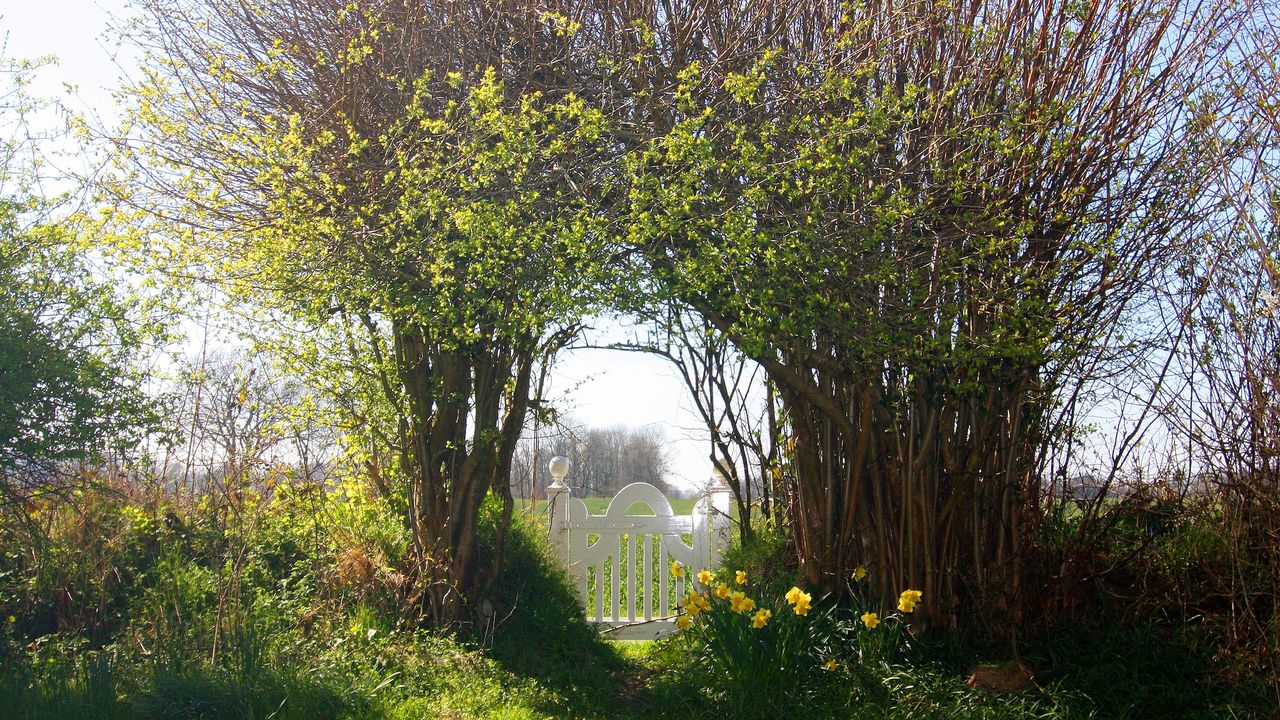 ExteriorSummer ExteriorSummer